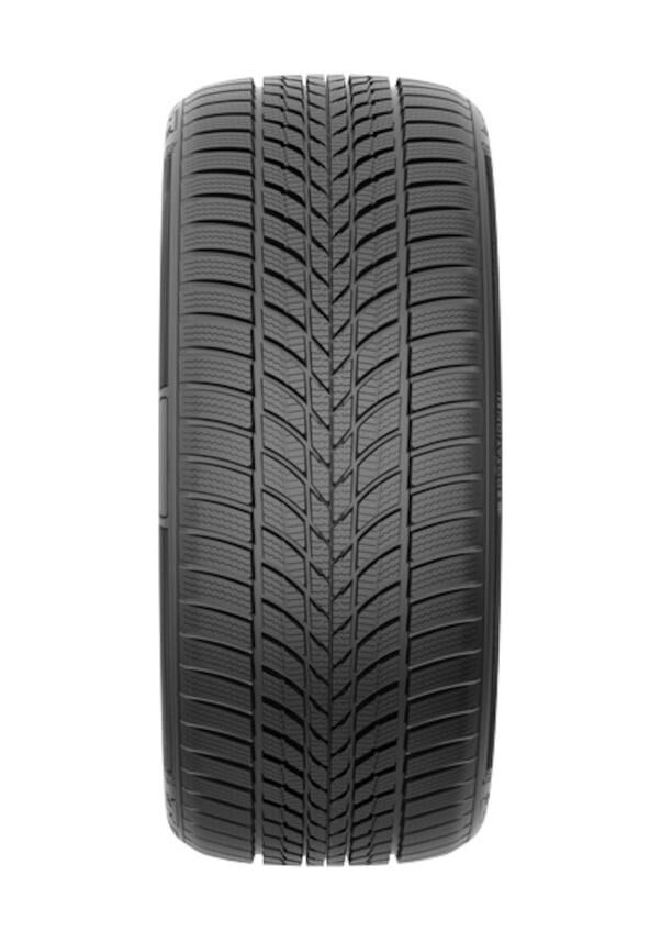 225/55 R17 TL 101V REINF CARMİLE WİNTER MİLESTONE